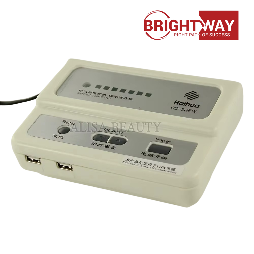 Best Haihua CD-9 Acupuncture Therapy Massager Device in Pakistan